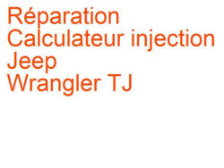 Calculateur injection Jeep Wrangler TJ (1997-2006)