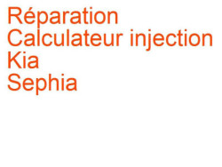 Calculateur injection Kia Sephia (1992-2003)