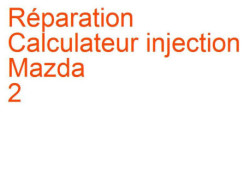Calculateur injection Mazda 2 1 (2003-2007) [DY]