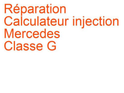 Calculateur injection Mercedes Classe G (1990-2000) [W463]