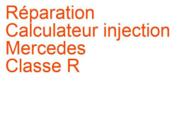 Calculateur injection Mercedes Classe R (2005-2010) [W251] phase 1