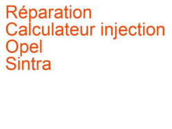 Calculateur injection Opel Sintra (1996-1999)