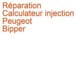 Calculateur injection Peugeot Bipper (2007-2017) [2007] phase 1