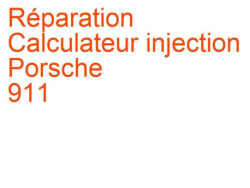 Calculateur injection Porsche 911 (1973-1989) [911]