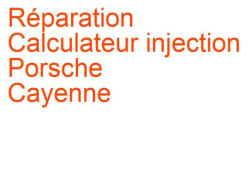 Calculateur injection Porsche Cayenne 1 (2002-2010) [955]