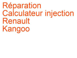 Calculateur injection Renault Kangoo 2 (2007-2013) phase 1