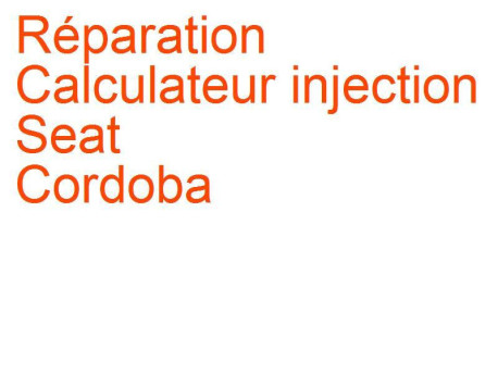 Calculateur injection Seat Cordoba 2 (2002-2009)