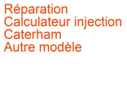 Calculateur injection Caterham Autre modèle