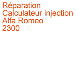 Calculateur injection Alfa Romeo 2300 (1971-1977)