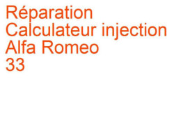 Calculateur injection Alfa Romeo 33 (1984-1989) [905]