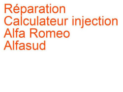 Calculateur injection Alfa Romeo Alfasud (1972-1980) phase 1