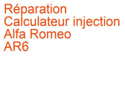 Calculateur injection Alfa Romeo AR6 (1981-1993)