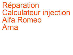 Calculateur injection Alfa Romeo Arna (1983-1987)