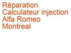 Calculateur injection Alfa Romeo Montreal (1970-1977)