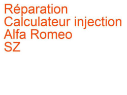 Calculateur injection Alfa Romeo SZ (1989-1993)
