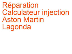 Calculateur injection Aston Martin Lagonda (1974-1990)