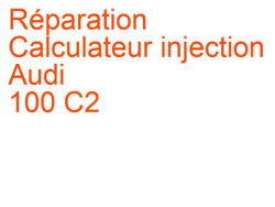 Calculateur injection Audi 100 C2 (1976-1982) [C2]