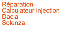 Calculateur injection Dacia Solenza (2003-2005)