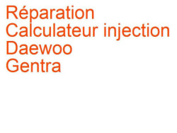 Calculateur injection Daewoo Gentra (2002-2011)