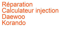 Calculateur injection Daewoo Korando (1996-2006)