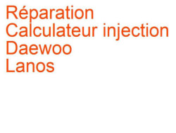 Calculateur injection Daewoo Lanos (1997-2002) [T100]