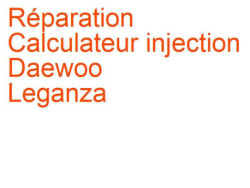 Calculateur injection Daewoo Leganza (1997-2003) [V100]