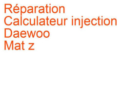 Calculateur injection Daewoo Mat z 1 (1998-2005)