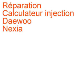 Calculateur injection Daewoo Nexia (1994-2015)