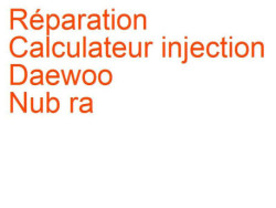 Calculateur injection Daewoo Nub ra 1 (1997-2003) [J100]