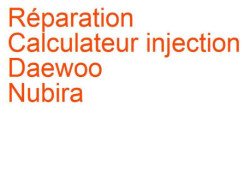 Calculateur injection Daewoo Nubira 2 (2003-2008) [J200]