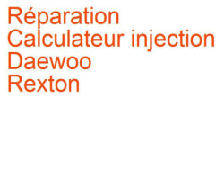 Calculateur injection Daewoo Rexton (2002-2006)