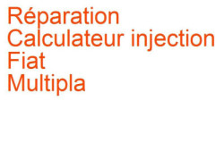 Calculateur injection Fiat Multipla 2 (2004-2010) [186 fl]