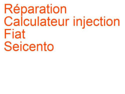 Calculateur injection Fiat Seicento (2000-2005) [187] phase 2