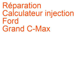 Calculateur injection Ford Grand C-Max (2010-2015) [B7]