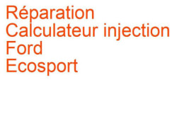 Calculateur injection Ford Ecosport (2012-)