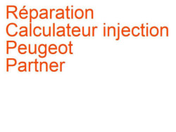Calculateur injection Peugeot Partner 2 (2015-2018) [B9] phase 3
