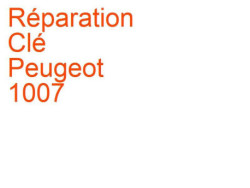 Clé Peugeot 1007 (2005-2009) [KM]