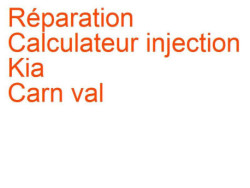 Calculateur injection Kia Carn val 1 (2001-2006) phase 2