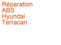 ABS Hyundai Terracan (2001-2007)