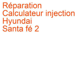 Calculateur injection Hyundai Santa fé 2 (2006-2011)