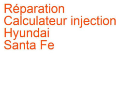 Calculateur injection Hyundai Santa Fe 3 (2012-2015) phase 1