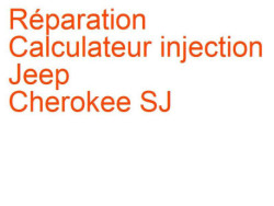 Calculateur injection Jeep Cherokee SJ (1974-1983) [SJ]