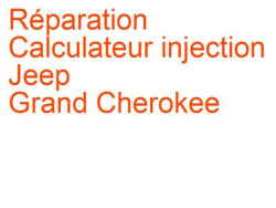 Calculateur injection Jeep Grand Cherokee 4 (2011-)