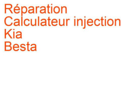 Calculateur injection Kia Besta (1988-1997)
