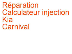 Calculateur injection Kia Carnival 2 (2006-2010) phase 1