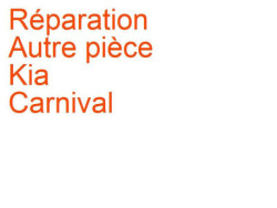 Autre pièce Kia Carnival 2 (2010-2014) phase 2