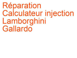 Calculateur injection Lamborghini Gallardo (2003-2013)