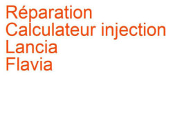 Calculateur injection Lancia Flavia (1960-1971)