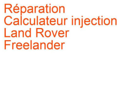 Calculateur injection Land Rover Freelander 2 (2006-2015)