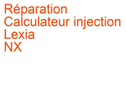Calculateur injection Lexia NX (2014-)
